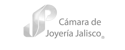 Camara Joya