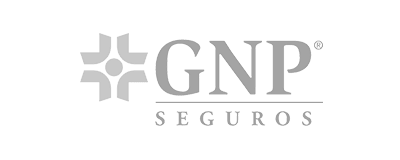 Gnp